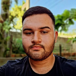 Luis Henrique Josefino Toldo