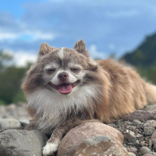 Benny