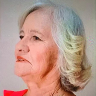 Aparecida Dias Damaceno Teixeira